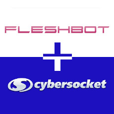 Fleshbot and Cybersocket